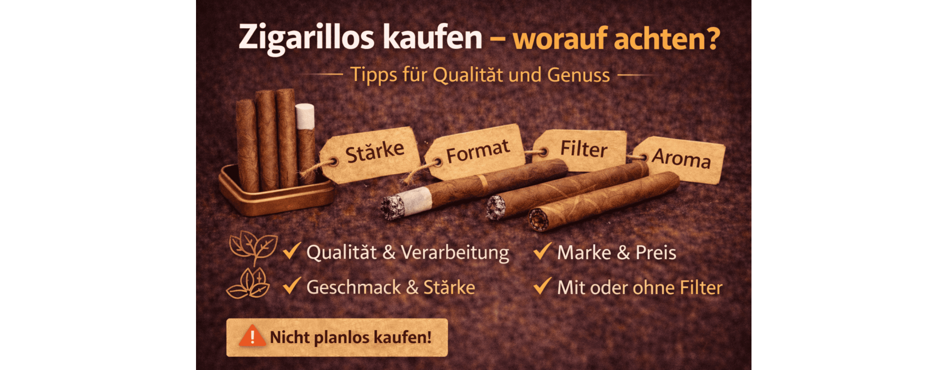 Zigarren kaufen – Worauf Anfänger wirklich achten sollten