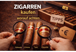 Zigarren kaufen – Worauf Anfänger wirklich achten sollt