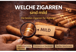 Welche Zigarren sind mild – Die besten Zigarren für Anfänger
