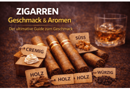 Zigarren Geschmack & Aromen – Von mild bis kräftig erklärt