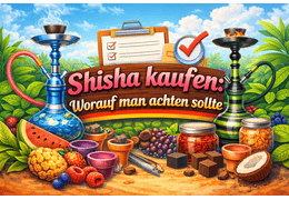 Shisha kaufen: Worauf man achten sollte