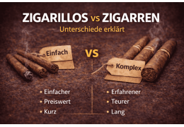 Zigarillos vs Zigarren – Die wichtigsten Unterschiede