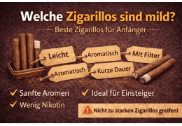 Welche Zigarren sind mild – Die besten Zigarren für Anfänger